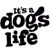 It's A Dog's Life logo