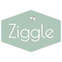 Ziggle logo
